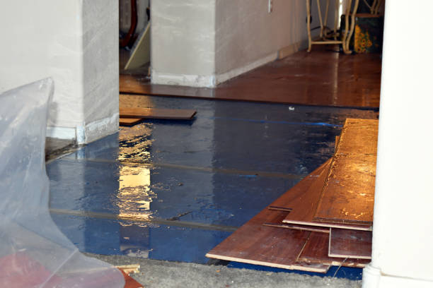 Professional Burst Pipe Cleanup technician working in Metamora, OH